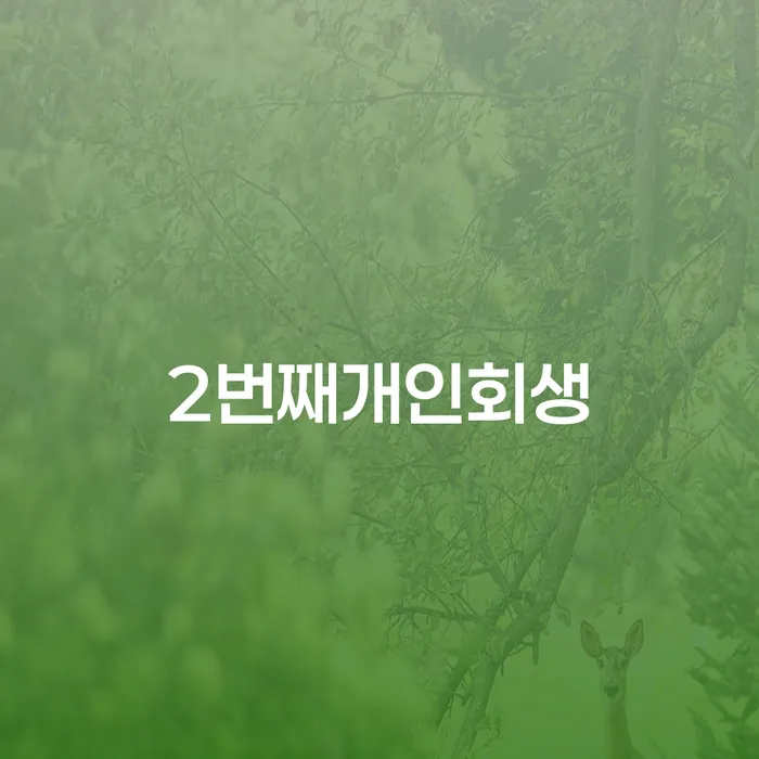 채무자대리인 빚독촉 비교해보기