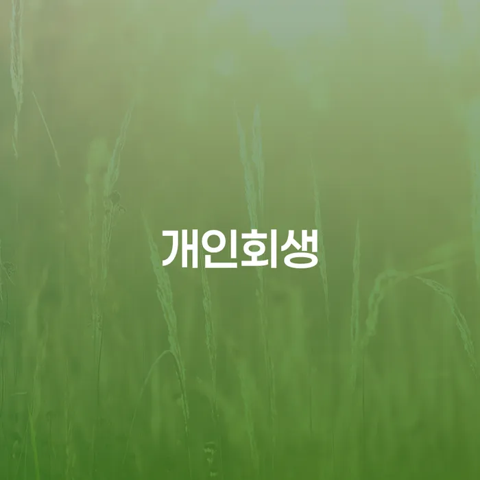 수원시 회생채권 개인회생으로 방법 해야되나요?