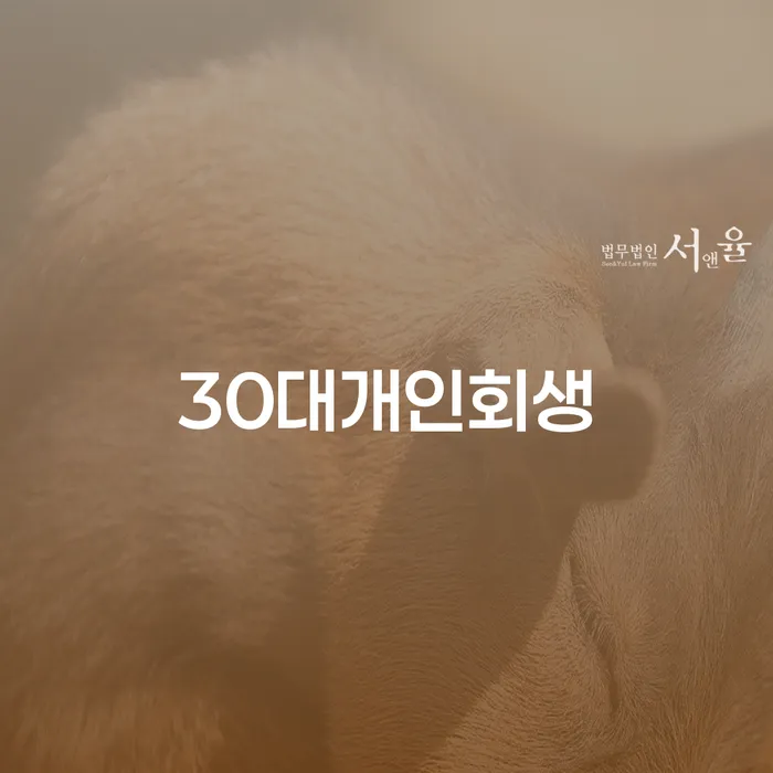 남해군 채무자대리인제도 개인회생으로 해결방법 확실한 진행