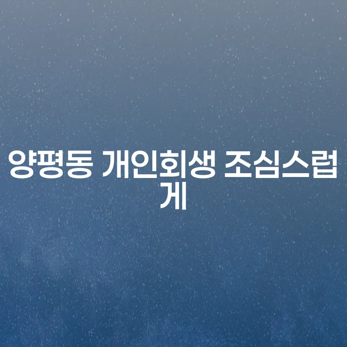 양평동 개인회생 조심스럽게