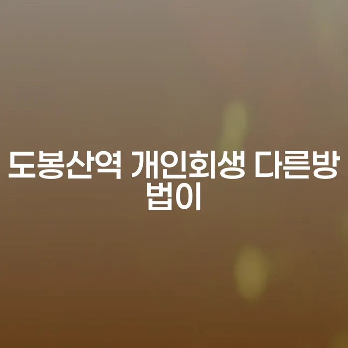 도봉산역 개인회생 다른방법이