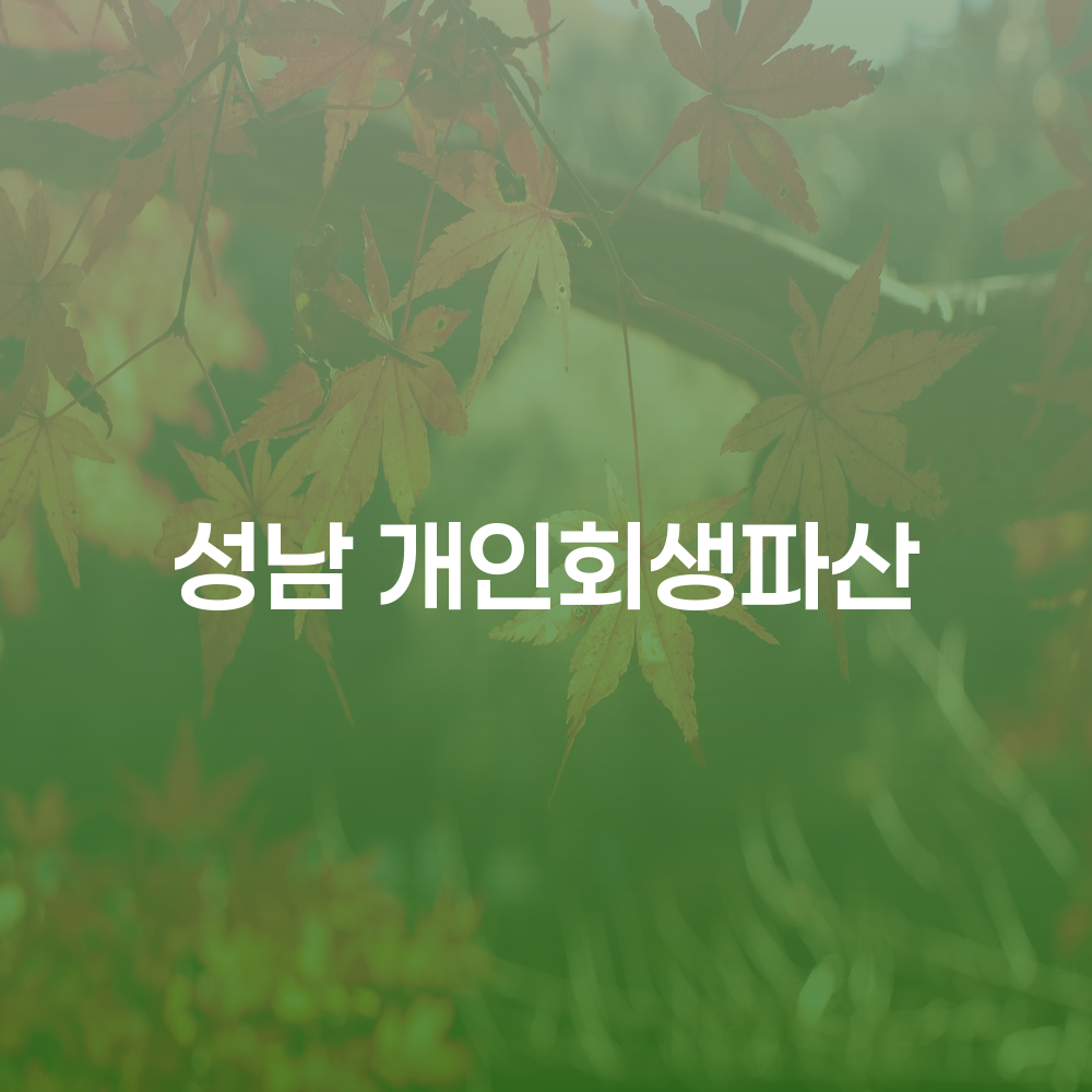 성남 개인회생파산의 이해와 절차