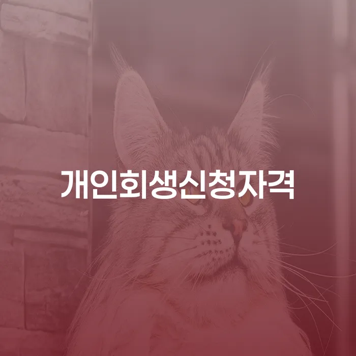 가리봉동 개인회생 신청 자격과 절차