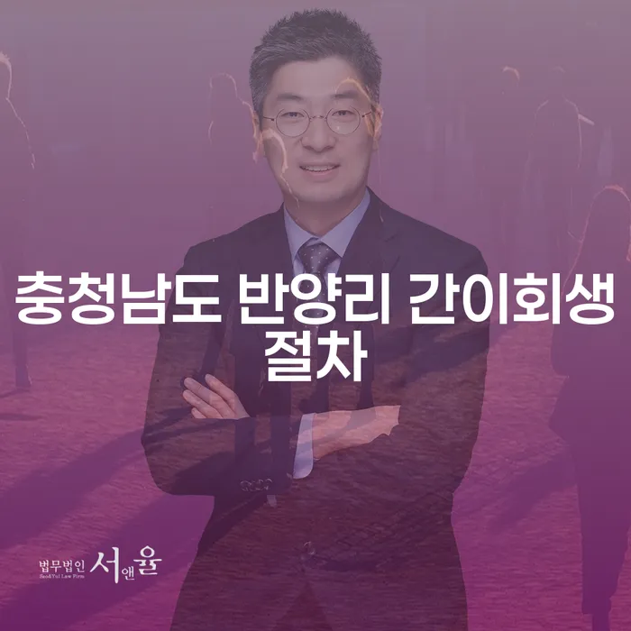 충청남도 반양리 간이회생절차는 어떻게 진행될까요?