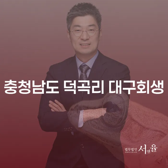 충청남도 덕곡리 대구회생을 통해 채무 해결할 수 있는 방법은 무엇일까요?
