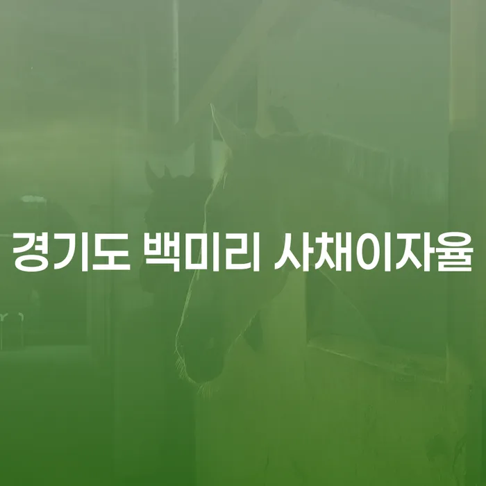 경기도 백미리 사채이자율, 도박빚 2억원 개인회생 어떻게 해결할 수 있을까요?