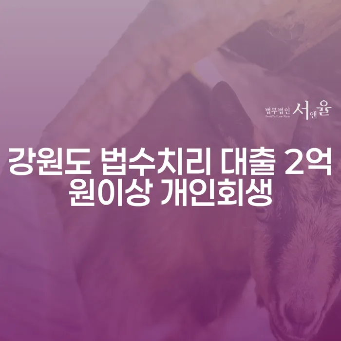 강원도 법수치리 대출 2억원 이상 개인회생, 당신에게 필요한 채무탕감제도는?